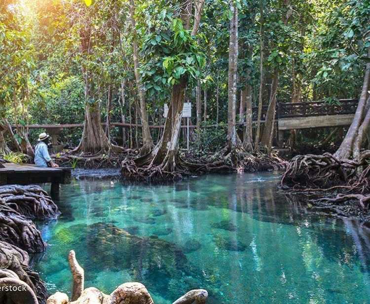 Asia Sabai